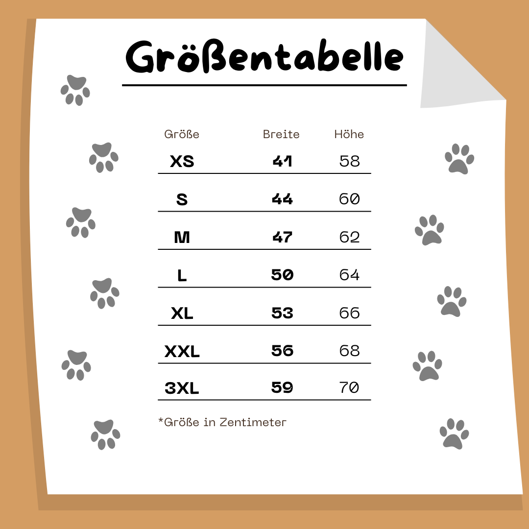 Damen T-Shirt Ich passe. Zumindest in meiner Welt. Katze in Karton