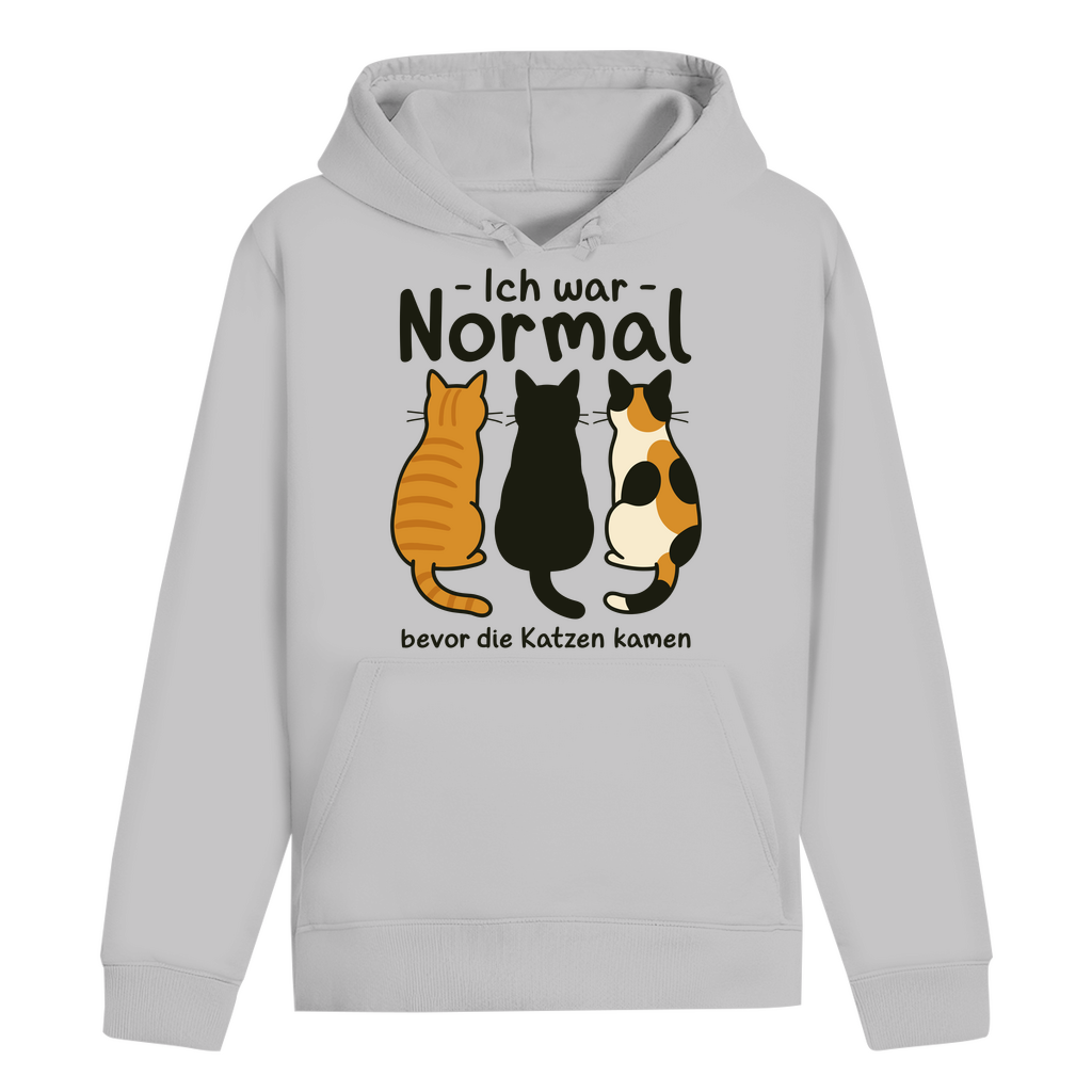 ST/ST Drummer Hoodie Ich war Normal, bevor die Katzen kamen