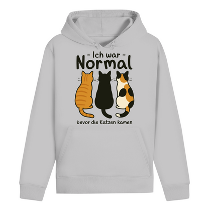 ST/ST Drummer Hoodie Ich war Normal, bevor die Katzen kamen