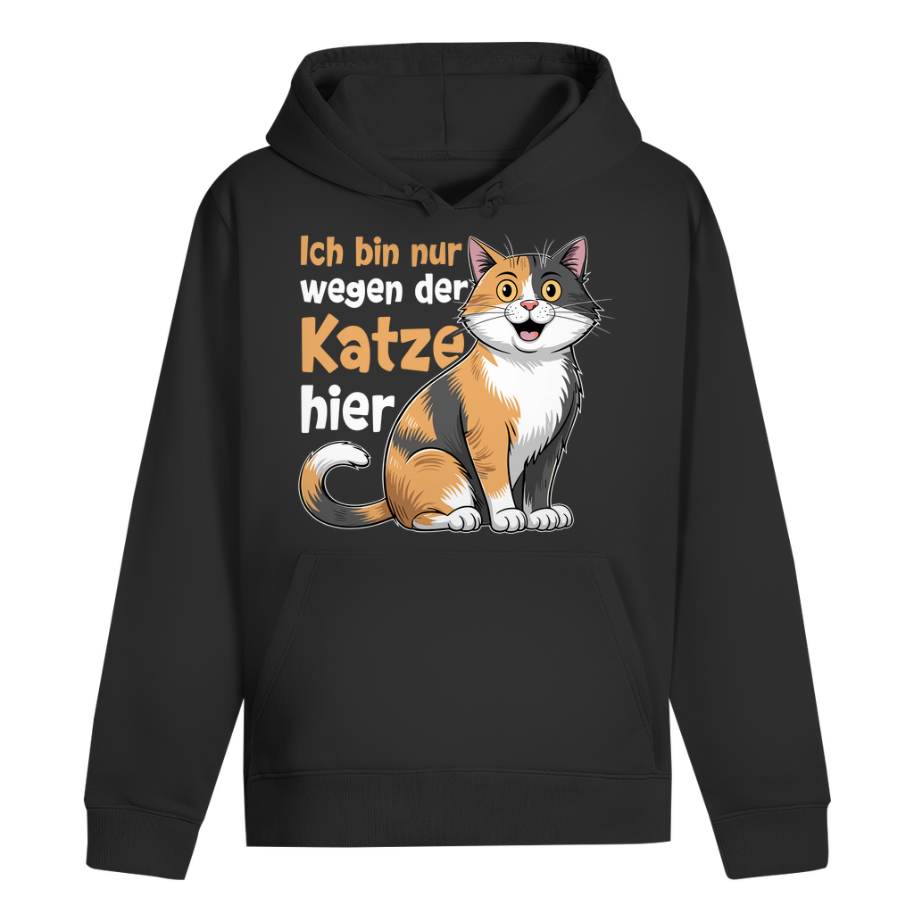 ST/ST Drummer Hoodie Ich bin nur wegen der Katze hier