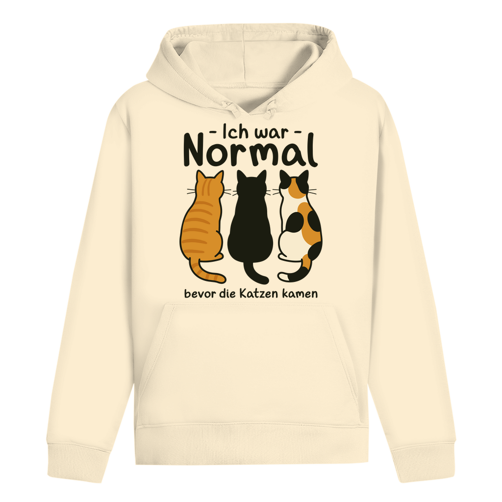 ST/ST Drummer Hoodie Ich war Normal, bevor die Katzen kamen