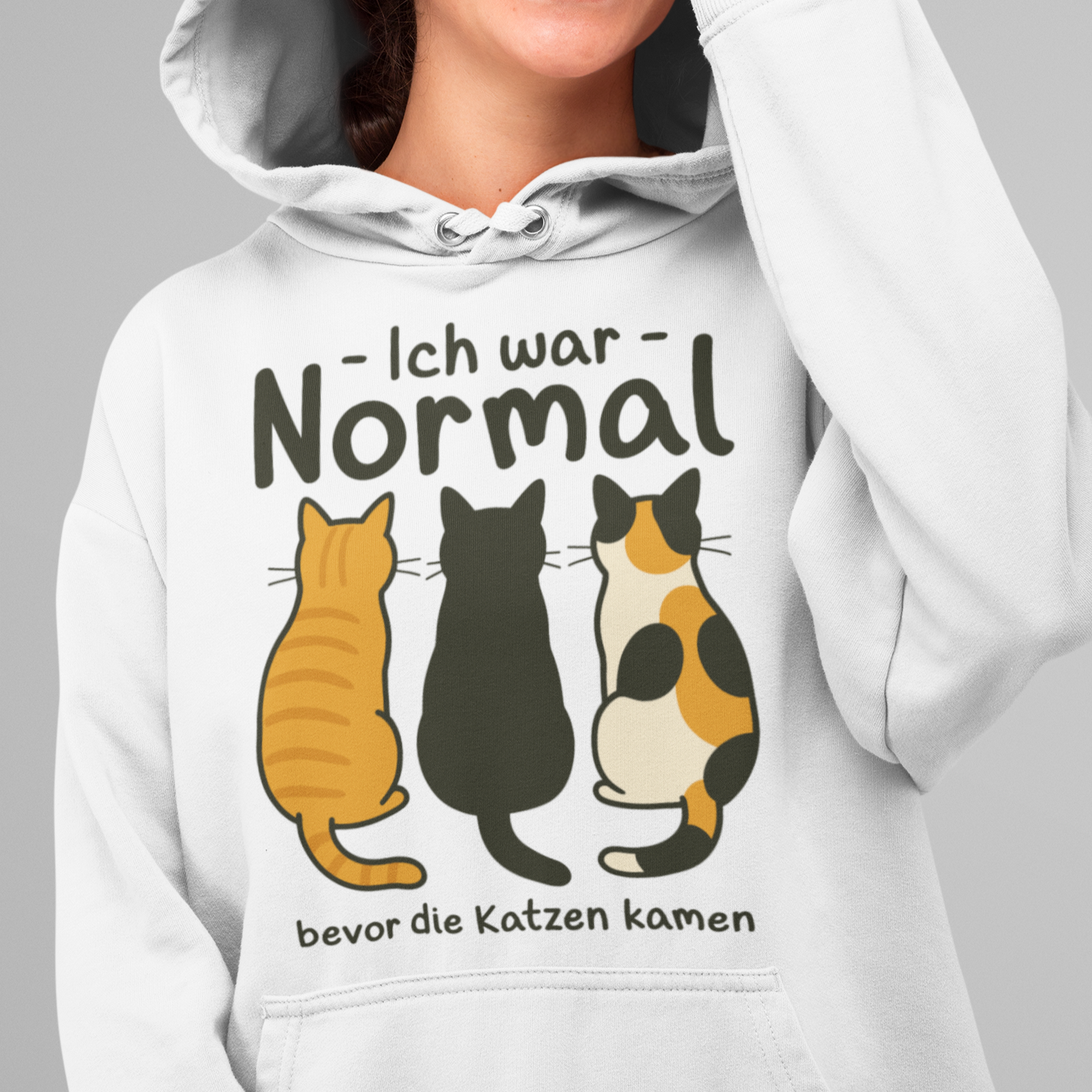 ST/ST Drummer Hoodie Ich war Normal, bevor die Katzen kamen
