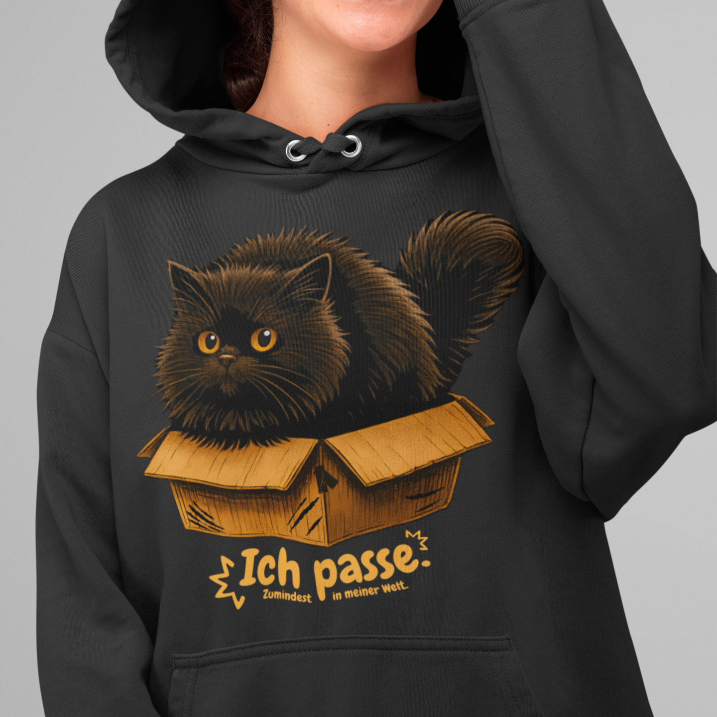 ST/ST Drummer Hoodie Ich passe. Zumindest in meiner Welt. Katze in Karton