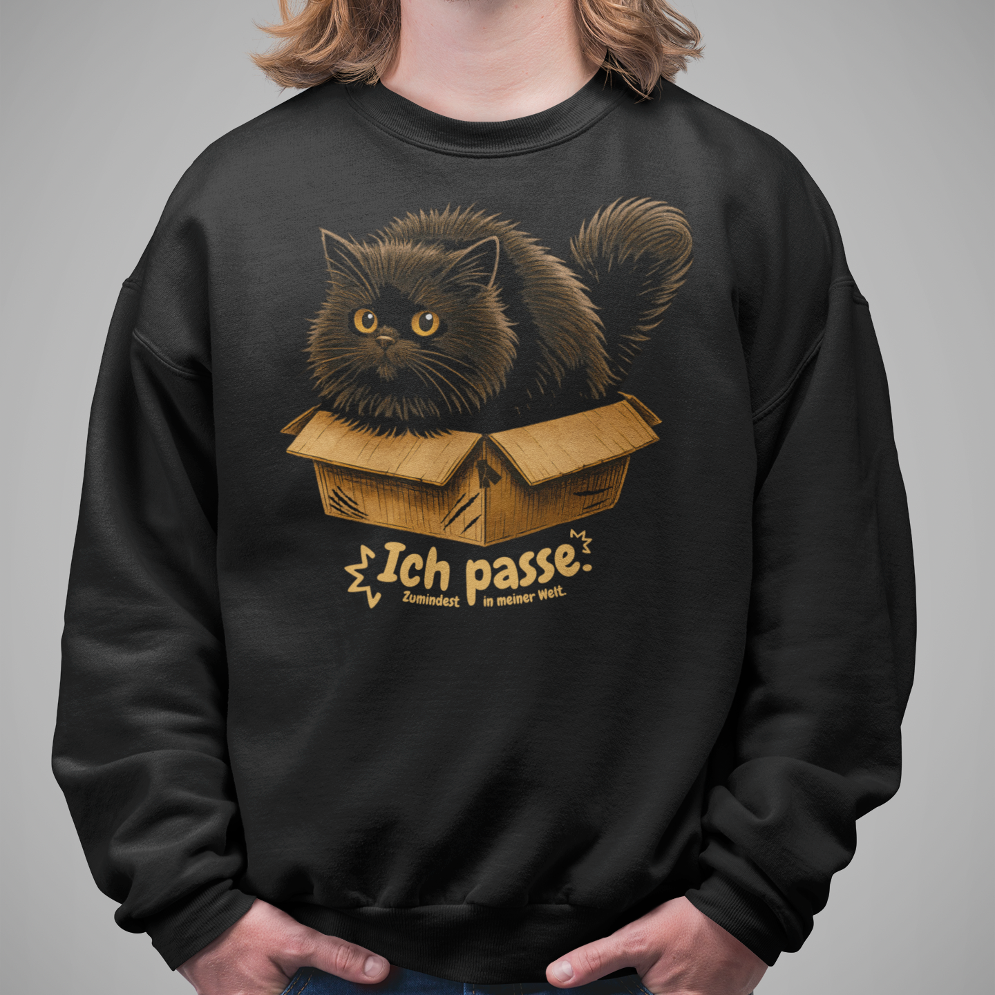 Herren Sweatshirt Ich passe. Zumindest in meiner Welt. Katze in Karton